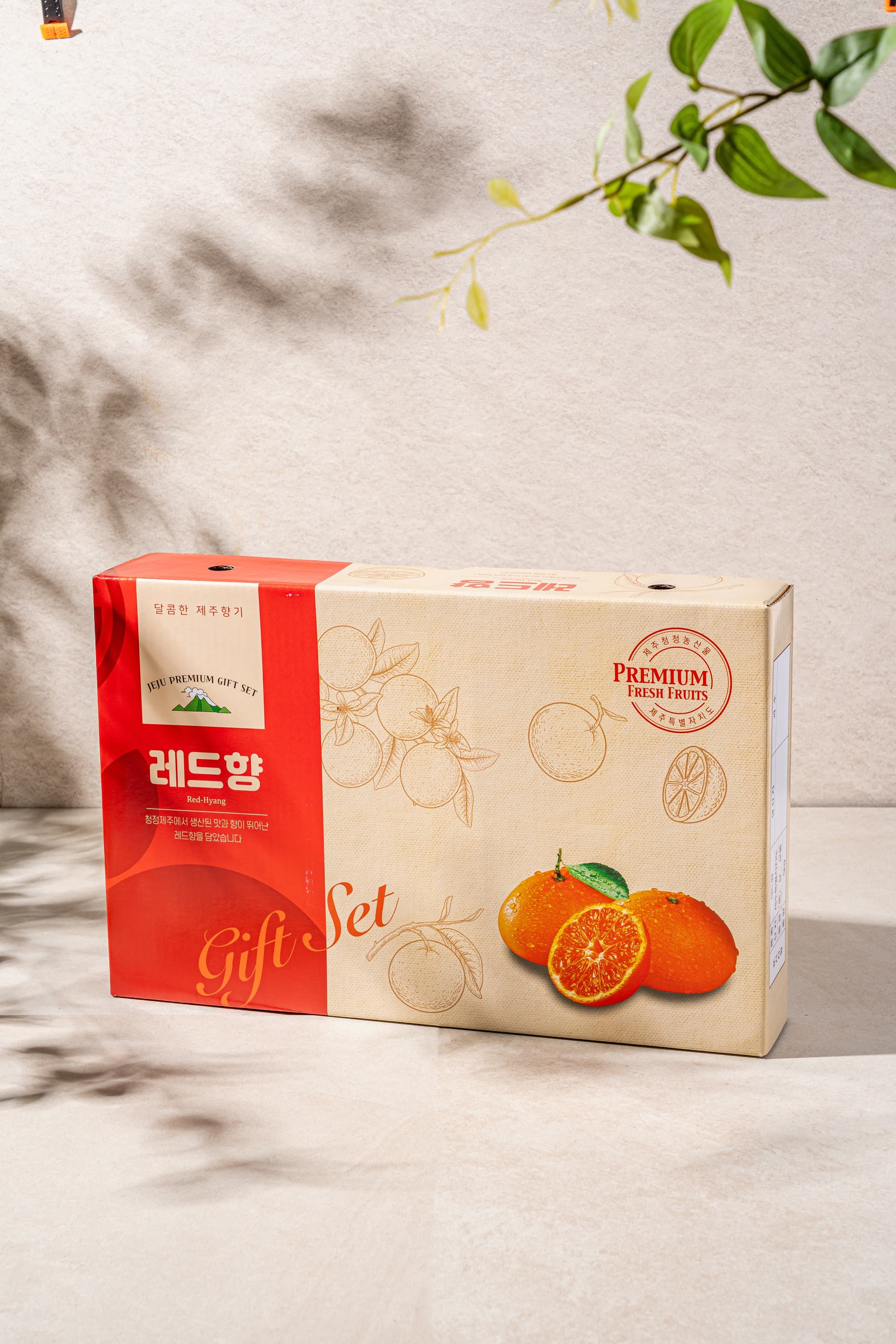 부자귤 레드향 메뉴촬영 - 소몽스튜디오